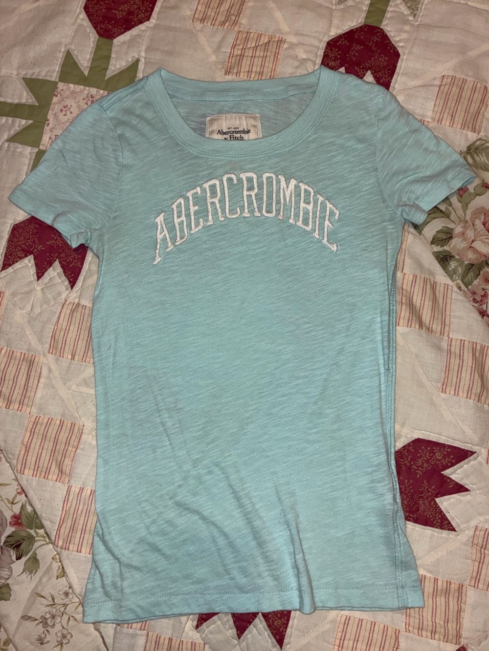 Abercrombie & Fitch Blue Embroidered Logo Tee